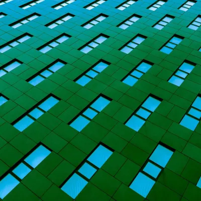Vilniaus architektūros elementai