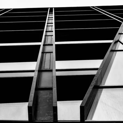 Vilniaus architektūros elementai
