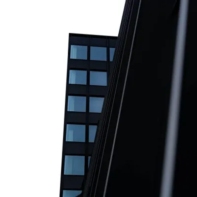 Vilniaus architektūros elementai