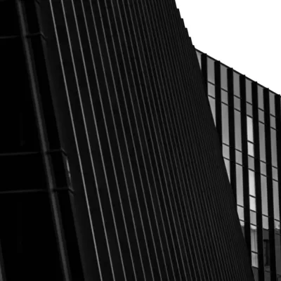 Vilniaus architektūros elementai