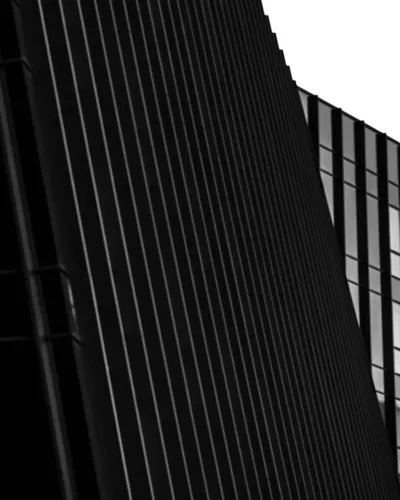 Vilniaus architektūros elementai