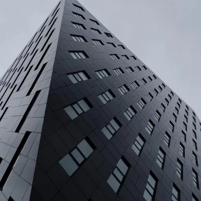 Vilniaus architektūros elementai