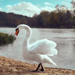 Susitikimas su rudeniu 2023