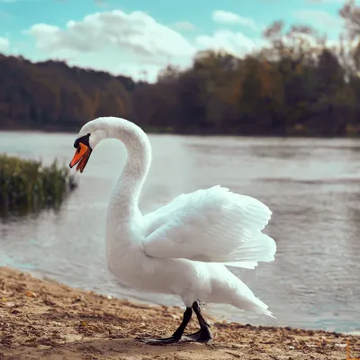 Susitikimas su rudeniu 2023