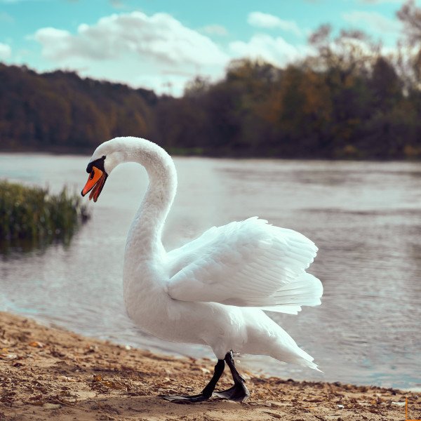 🔒 Susitikimas su rudeniu 2023