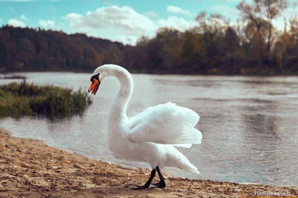 Susitikimas su rudeniu 2023