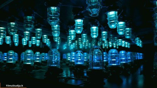 Vilniaus Å¡viesÅ³ festivalis 2020, fotoreportaÅ¾as