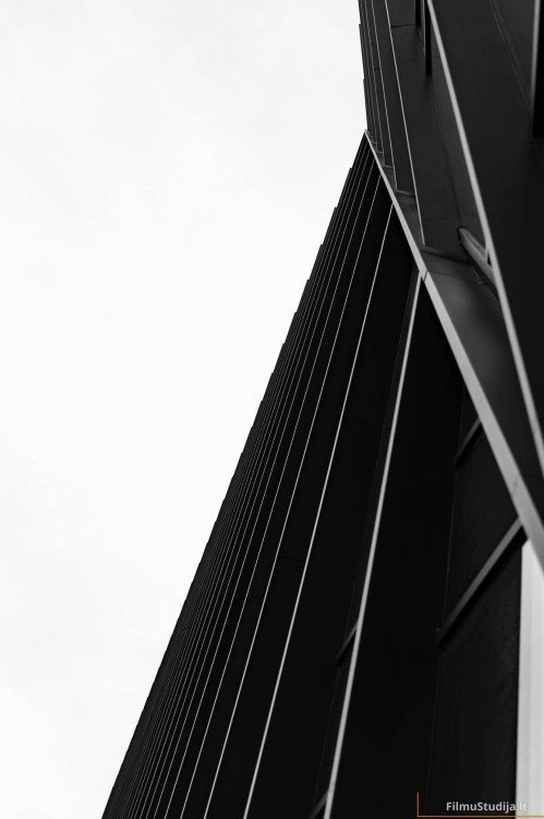 Vilniaus architektÅ«ros elementai